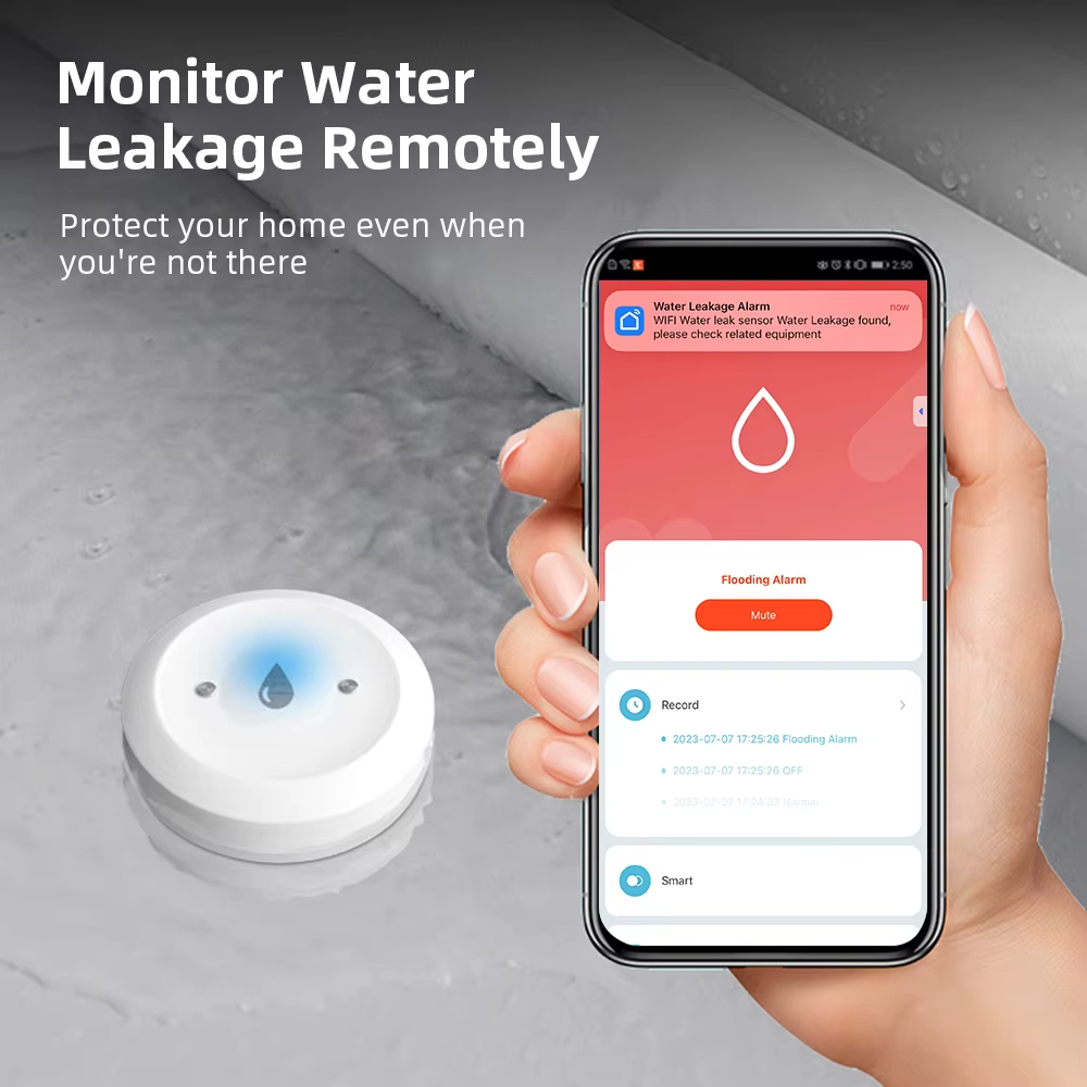 ZigBee Smart Water Leak Sensor - đánh giá và giá Kitchen Appliances Video