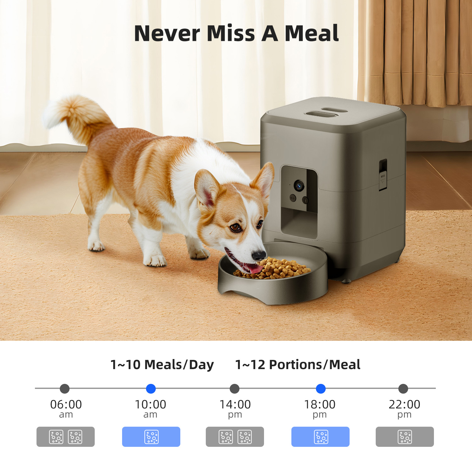 2L Automatic Pet Feeder Cat Sm - đánh giá và giá Kitchen Appliances Video